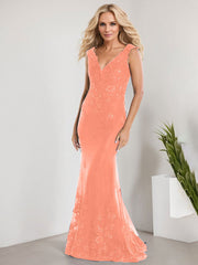 A-line V-Neck Floor-Length Lace Chiffon Mother of the Bride Dress With Applique Sequins Mermaid Dresses